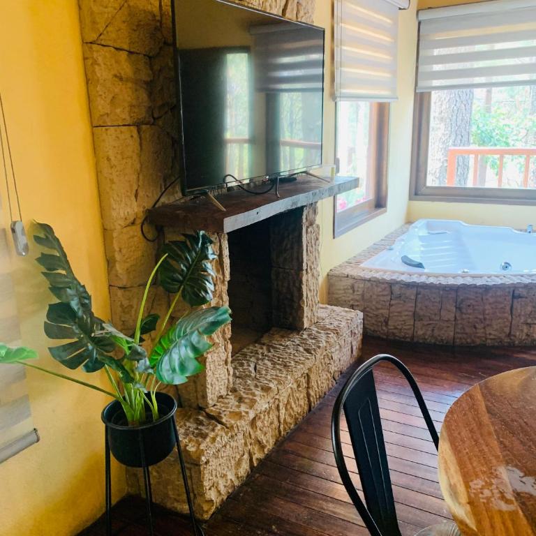 Cabañas Las Morenas Mazamitla - Chalet de 1 dormitorio - 4