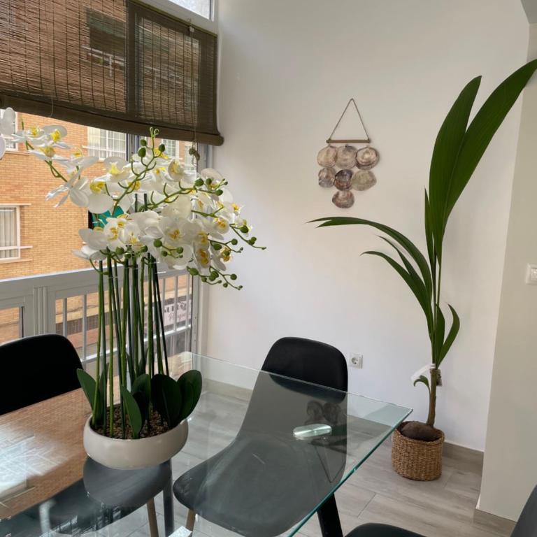 Vacaciones en malaga - Apartamento de 3 dormitorios - 8