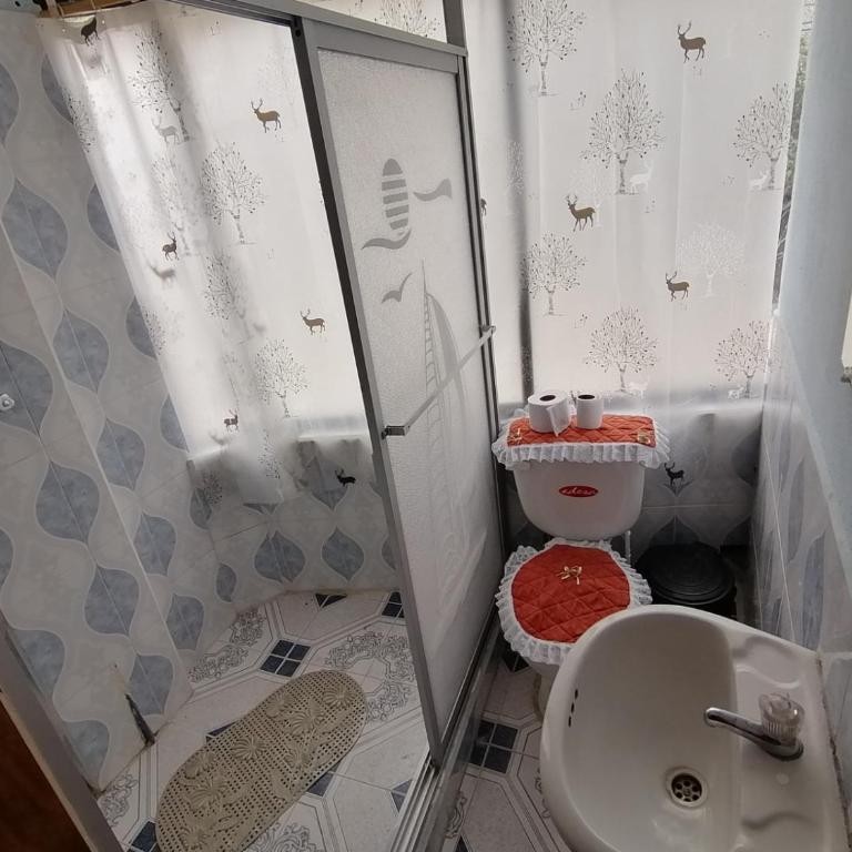 Hostal the backpackers - Double Room with Private Bathroom - 3