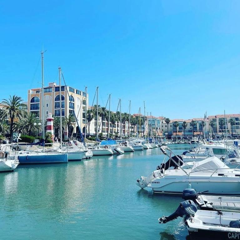 T2 Climatisé à Argelès-sur-Mer avec Terrasse, Jardin et Parking - FR-1-732-49 - Appartement - 4