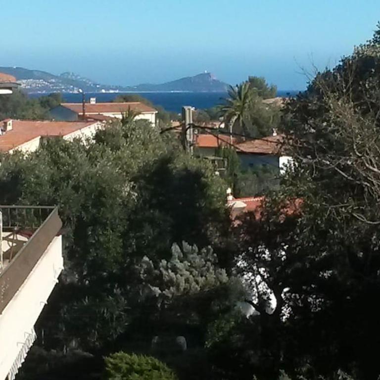 T1 rez de jardin avec grande terrasse – St Aygulf - Apartment mit 1 Schlafzimmer - 1