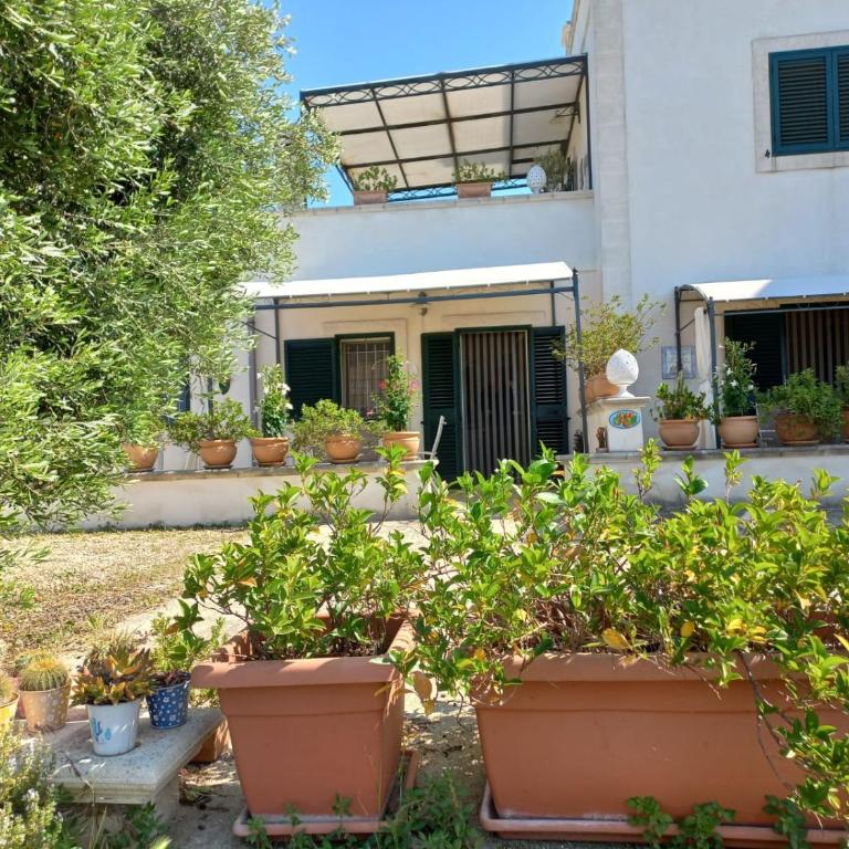 Il Fico d'India dell'Antico orto - Casa Vacanze - 30