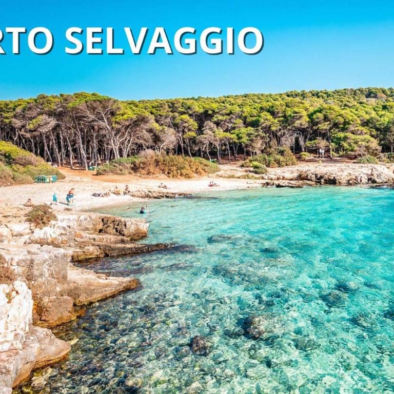 Coral - 30 passi dalla Spiaggia della Purità - Appartamento con 1 Camera da Letto - 39