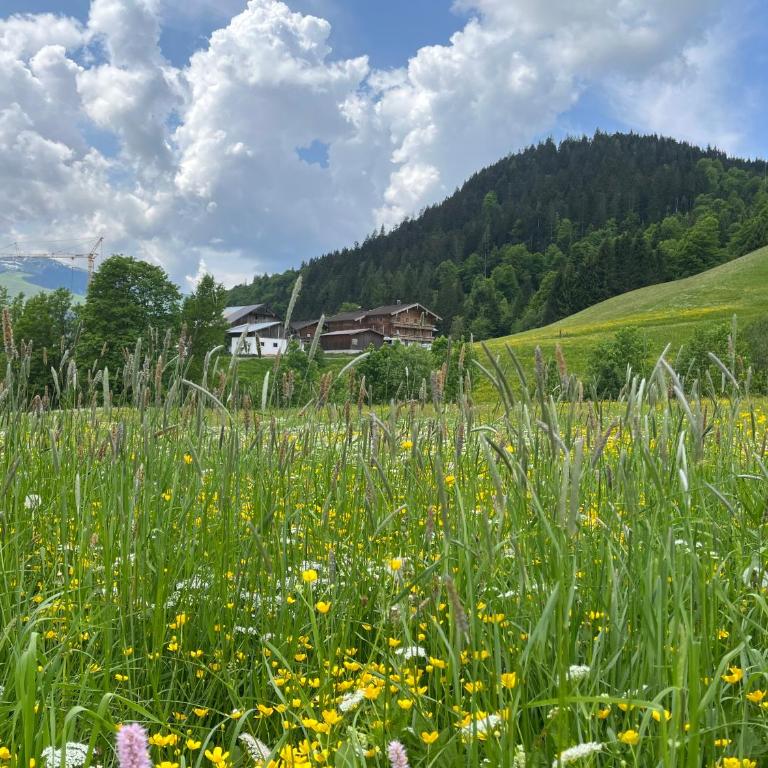 Appartement zur schlafenden Jungfrau - Appartement Deluxe - 5