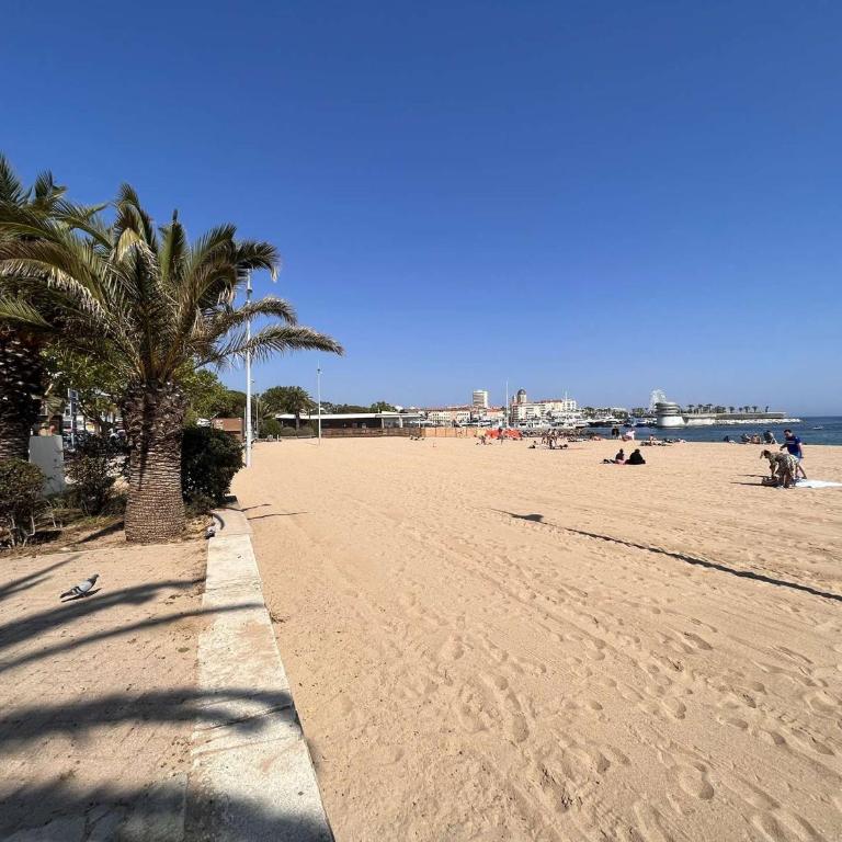 Studio cabine à 200m de Port Fréjus, plage, commerces, terrasse, 4 couchages, ménage inclus - FR-1-226A-31 - Appartamento (4 Adulti) - 7