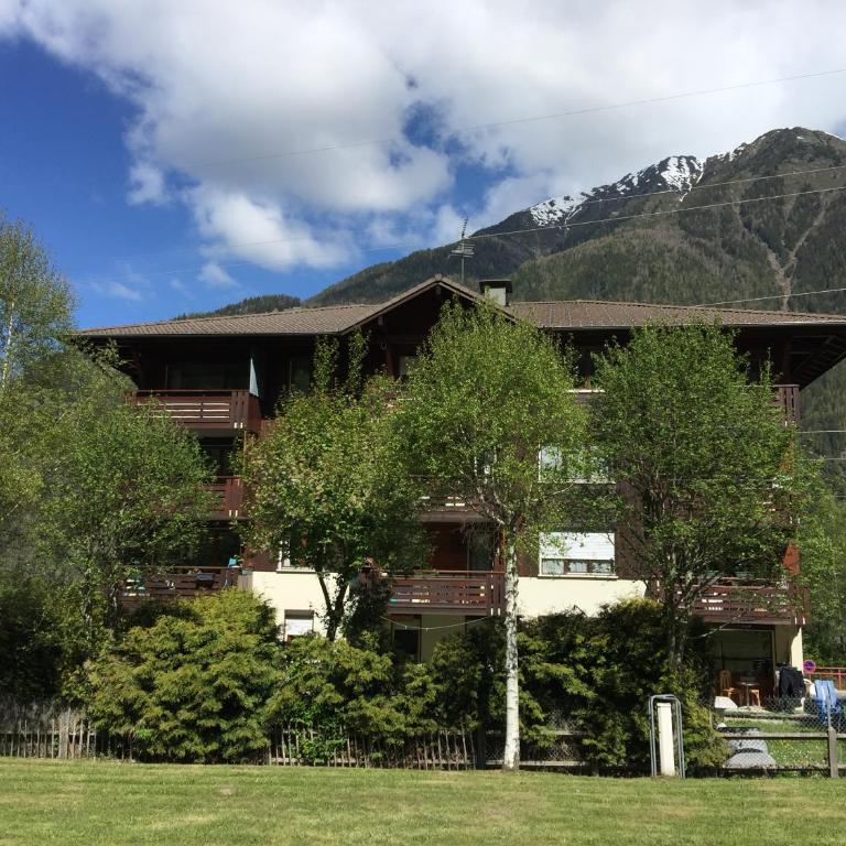 Appartement face au Mont Blanc & Glaciers - Apartamento con vistas a las montañas - 2