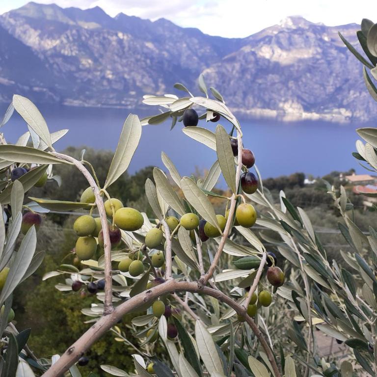 APPARTAMENTO LECCINO - Appartamento con 2 Camere da Letto - 23