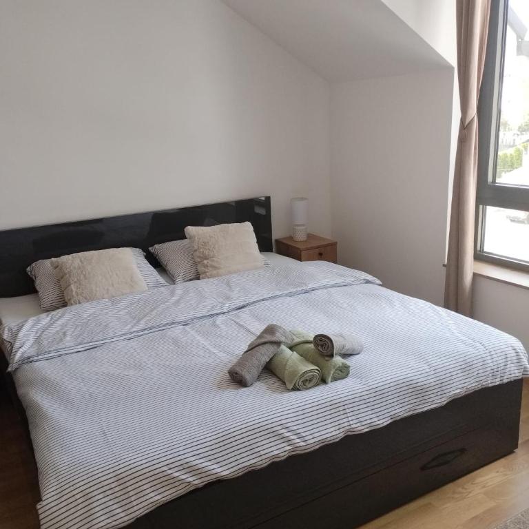 Apartman Nađa - Apartman sa 1 Spavaćom Sobom - 22