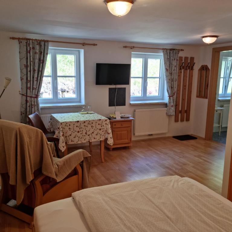 Pension Ladner - Grande Chambre Simple - 3
