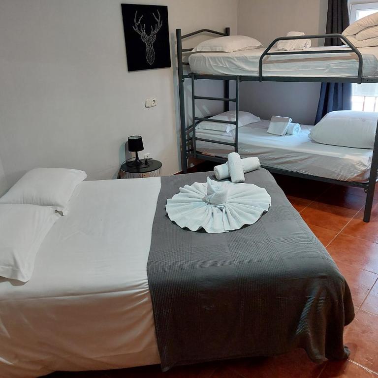 Hotel Mirtil - Habitación Cuádruple Económica - 1