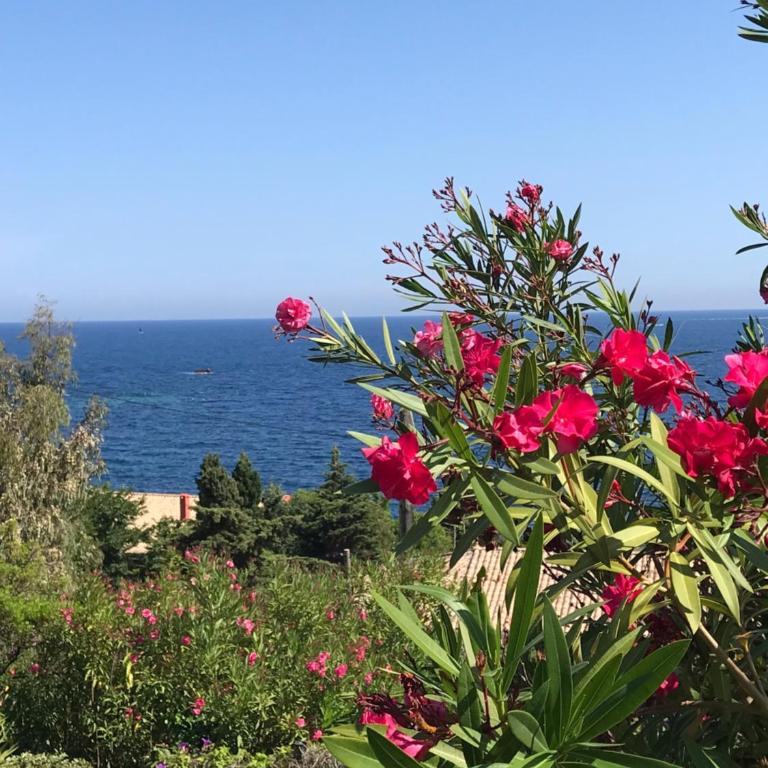 Villa Elisabeth Saint-Raphaël - Villa - 31