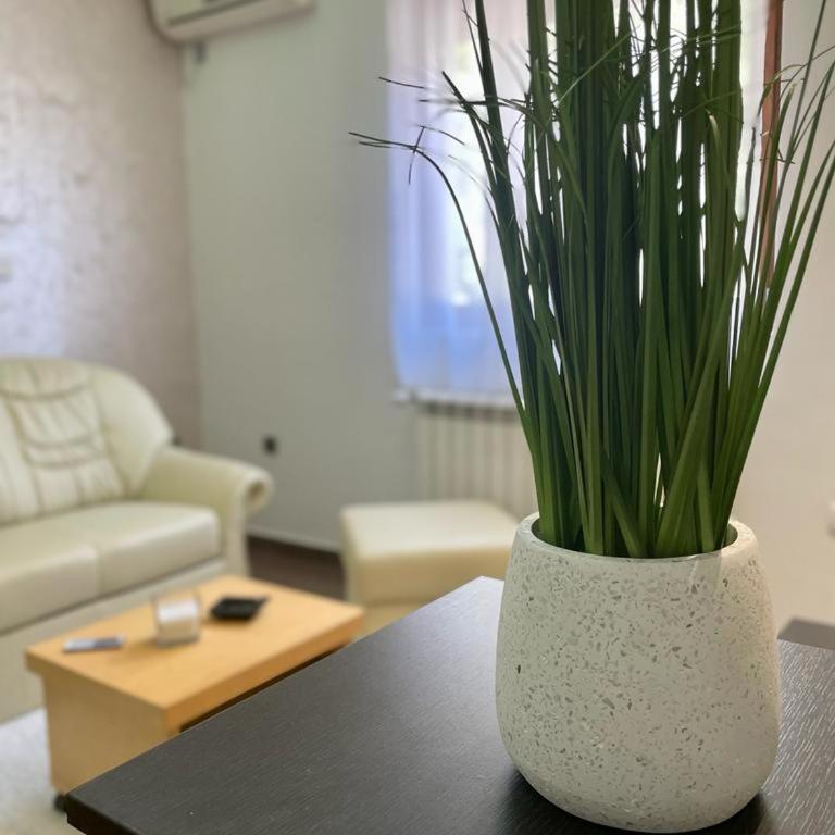 Apartman IN - Apartman sa 1 Spavaćom Sobom - 4