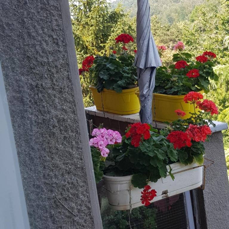 NeraBella Apartment - Standardni Apartman - 19