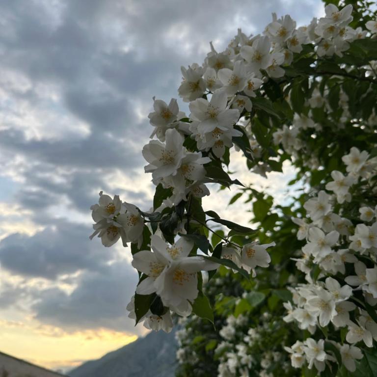 Duplex Kotor Ljuta with great views - Two-Bedroom Apartment - 43