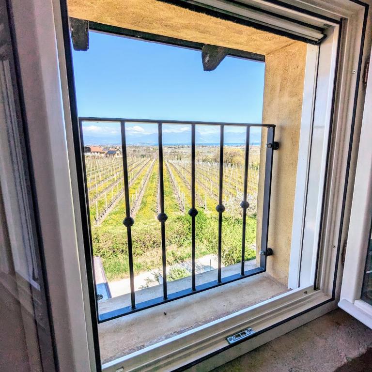 Casal del Pigno - Contry House with Pool - Camera Familiare con Vista Lago - 2