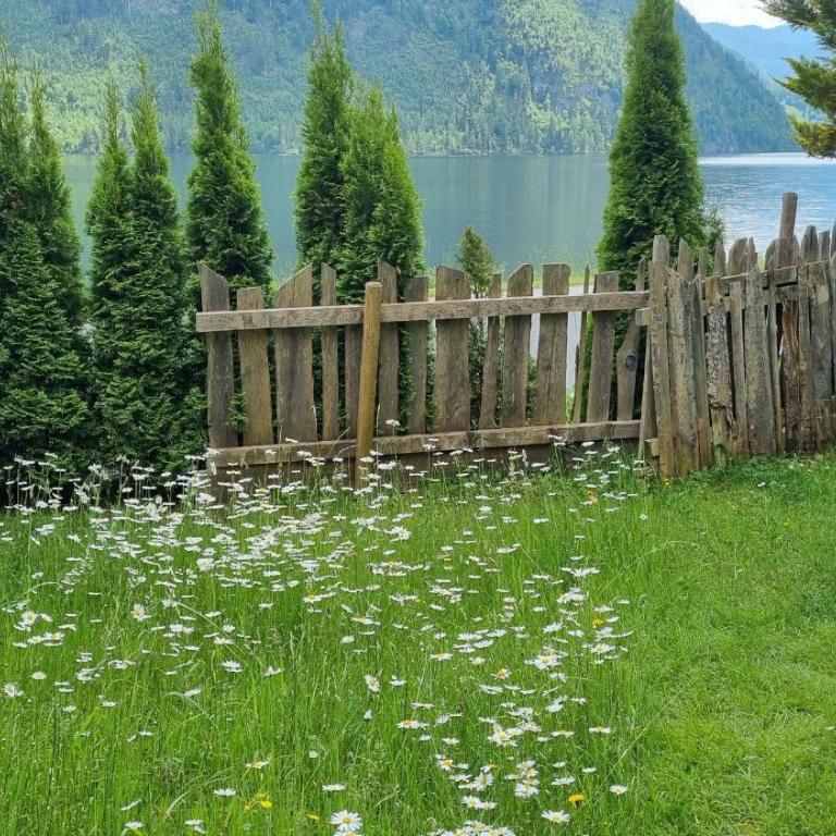 Ladner am See - Appartement 1 Chambre - 4