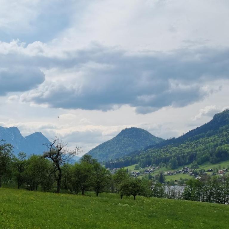 Ladner am See - Appartement 1 Chambre - 24