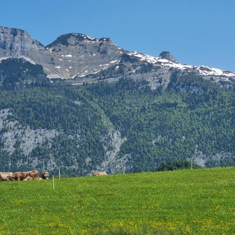 Ladner am See - Appartement 1 Chambre - 25