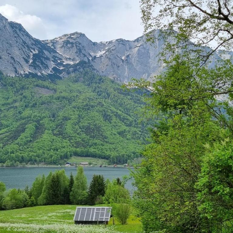 Ladner am See - Appartement 1 Chambre - 28