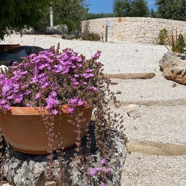 Trullo in Fabula ad Alberobello - Three-Bedroom House - 45