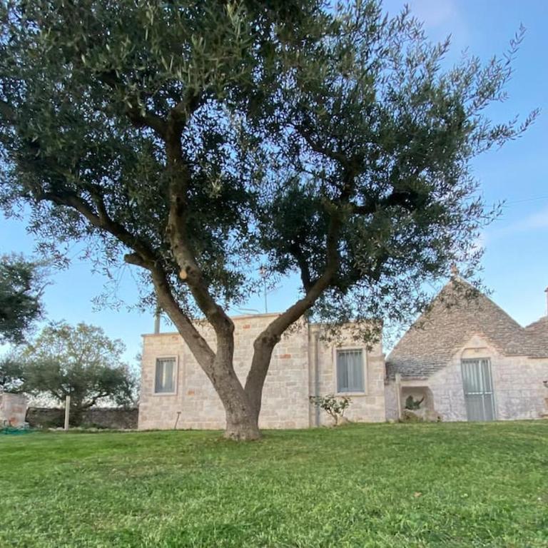 Trullo in Fabula ad Alberobello - Three-Bedroom House - 15