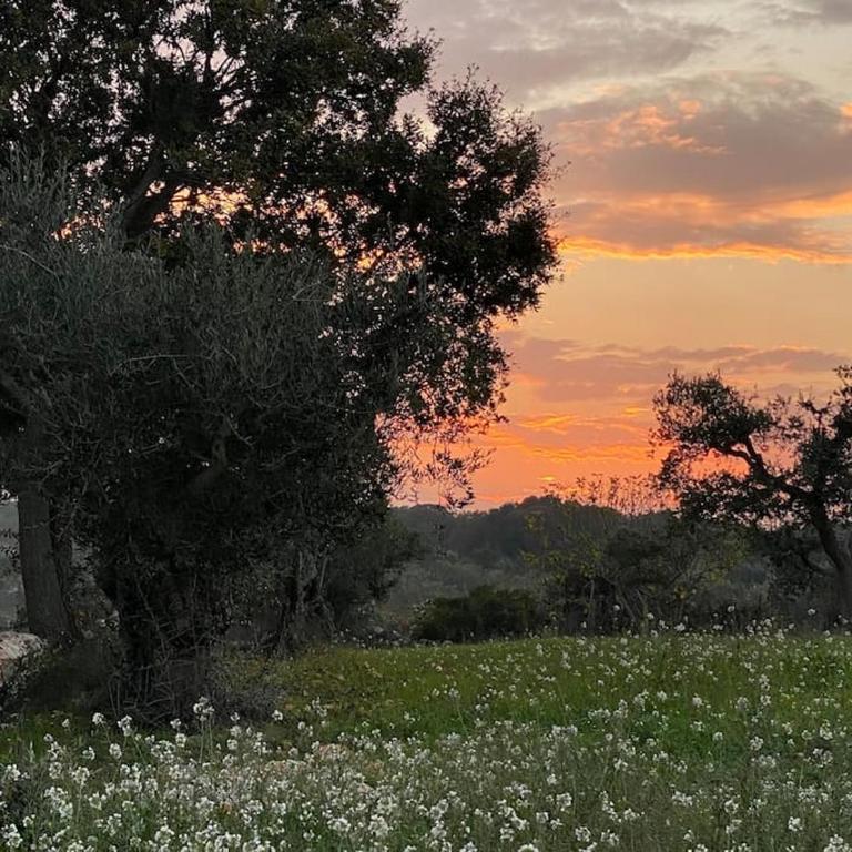 Trullo in Fabula ad Alberobello - Three-Bedroom House - 31