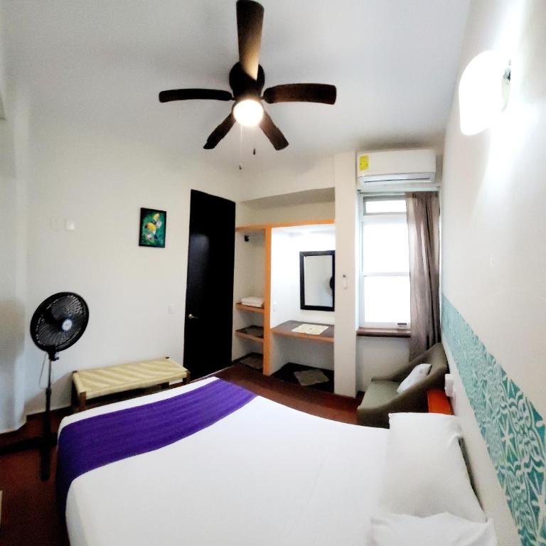 Casa Puerto Bonito, Aparthotel & Coworking - Apartamento de 2 dormitorios - 4