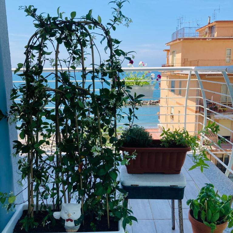 Viva la Nonna - Appartamento con 2 Camere da Letto - 19