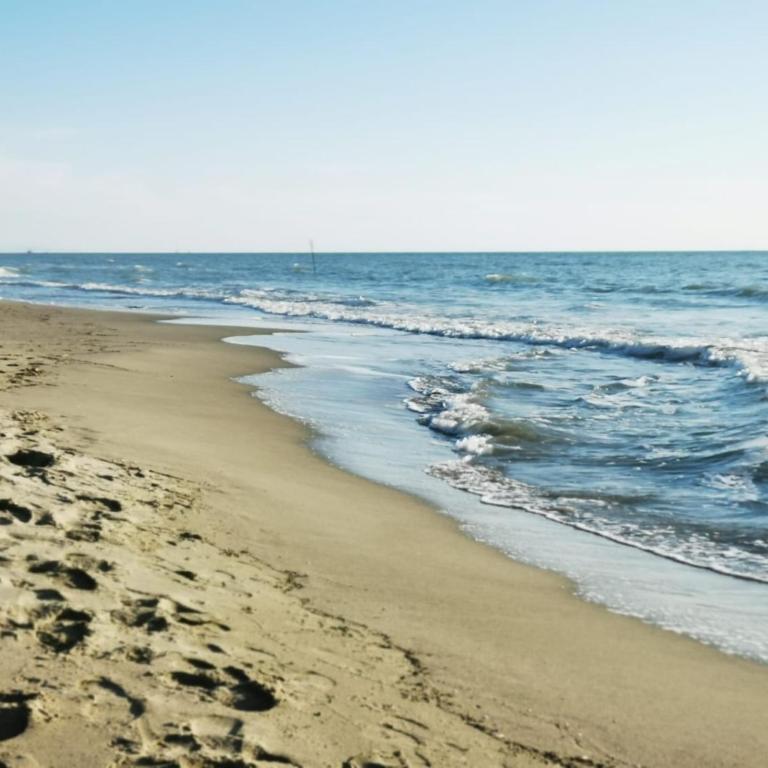 Glicine Appartamento in Villa a Tirrenia, eleganza e comfort a pochi passi dal mare - Appartamento con 2 Camere da Letto - 18