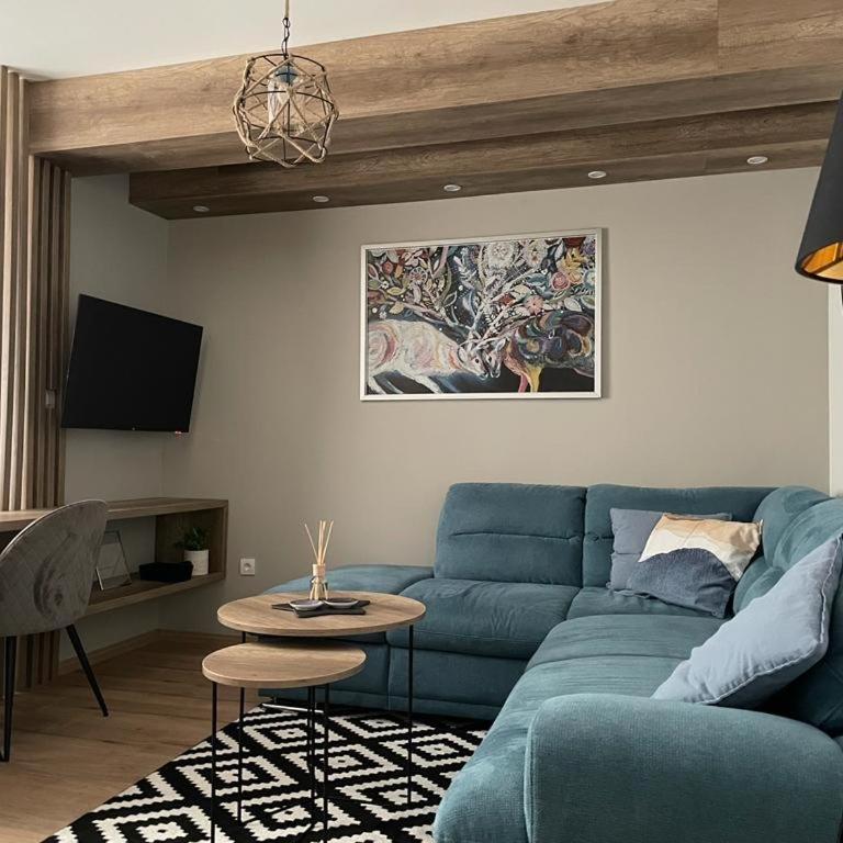 Aspen Apart12 - One-Bedroom Apartment - 1