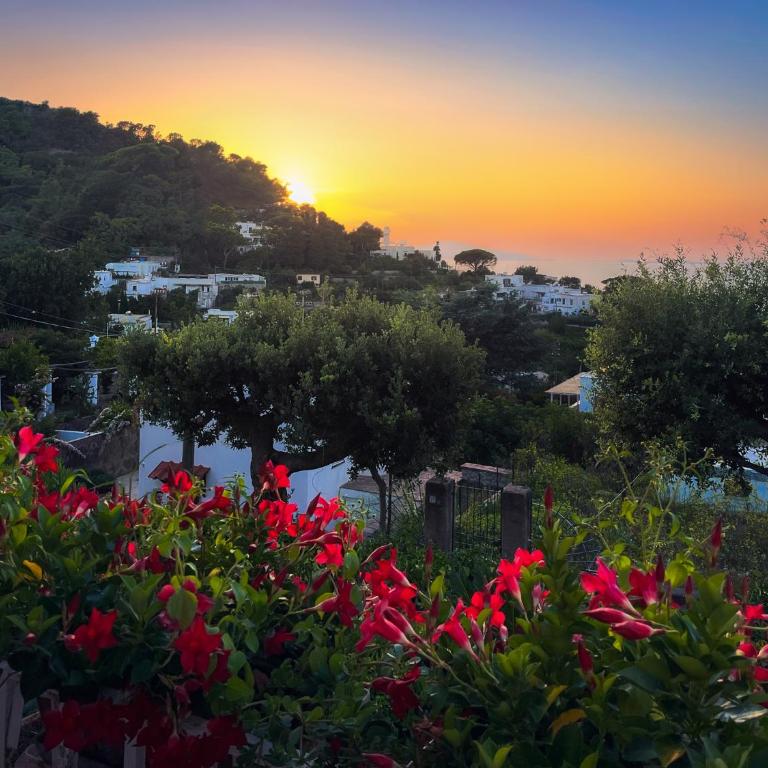 Villa Domenicanda - Villa con 3 Camere da Letto - 2