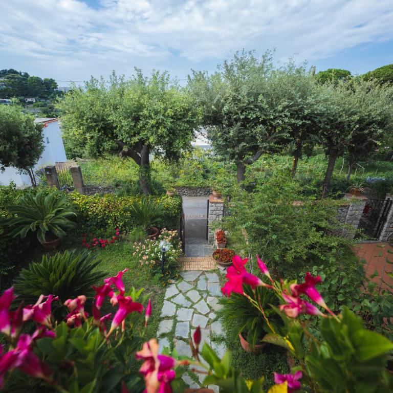 Villa Domenicanda - Villa con 3 Camere da Letto - 39