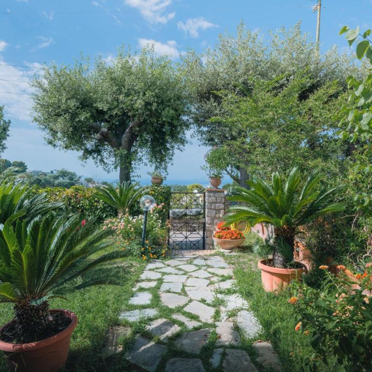 Villa Domenicanda - Villa con 3 Camere da Letto - 52