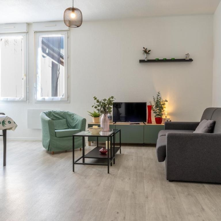 RESIDENCE SERENITY Lourdes - Appartement 1 Chambre avec Vue - 2