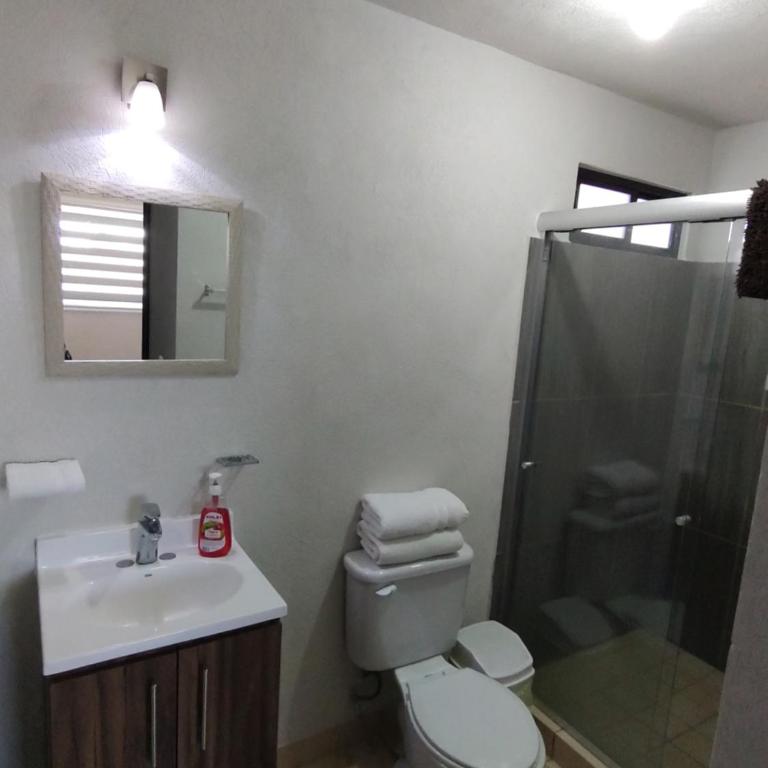 Excelente Departamento céntrico. - Three-Bedroom Apartment - 5