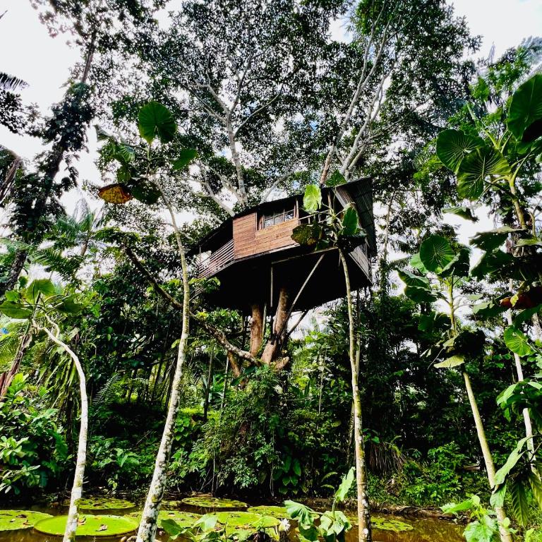 Reserva Natural Natura Park - Family Room with Balcony - 4
