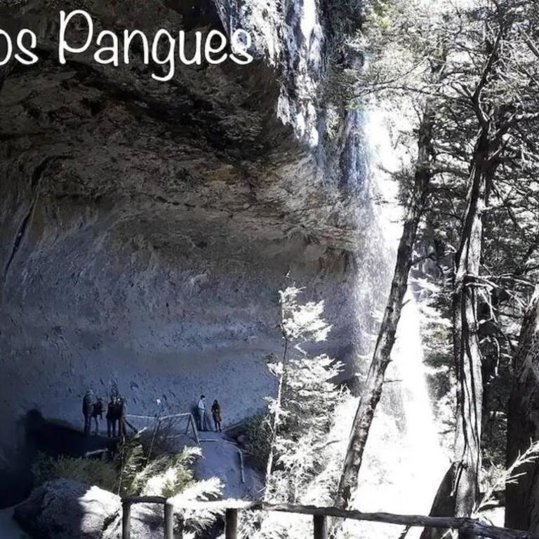 Departamento Termas de Chillán - Apartamento de 2 dormitorios - 12