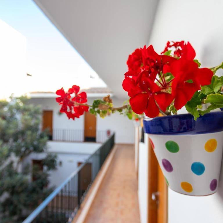Hotel Oasis Atalaya - Habitación Doble con terraza - 3