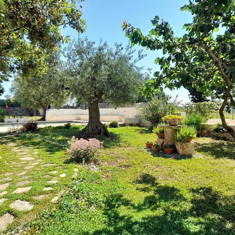 I Trulli del Tempo - Casa con 2 Camere da Letto - 4