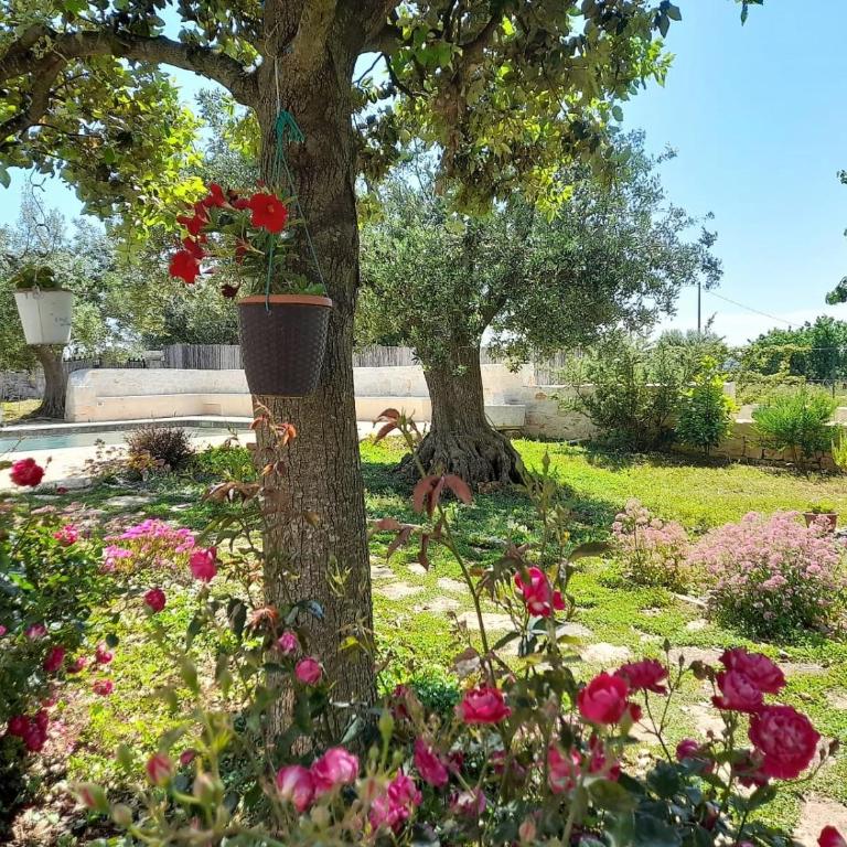 I Trulli del Tempo - Casa con 2 Camere da Letto - 38