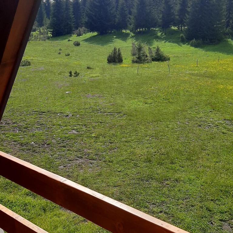 House Bojana - Two-Bedroom House - 29