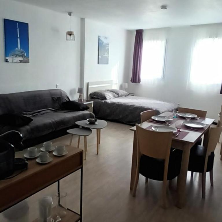Lourdes grand studio classé 2 étoiles de 1 à 4 personnes - Apartamento de 1 dormitorio - 6