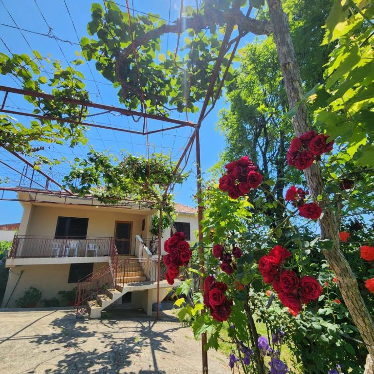 Gazdinstvo Đurović - Kuća sa 3 Spavaće Sobe - 1