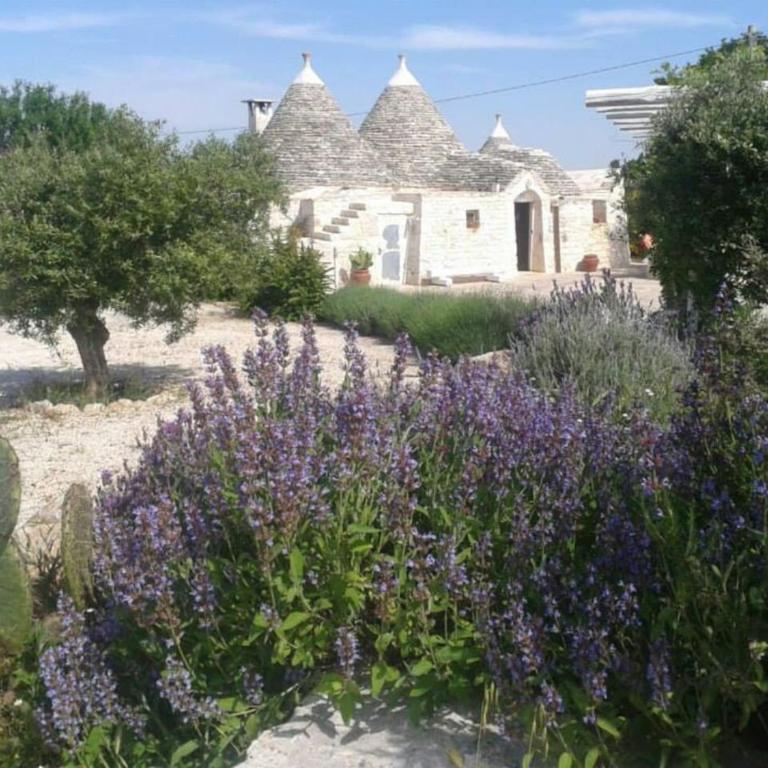 Trullo Raimondo - Casa Vacanze - 1