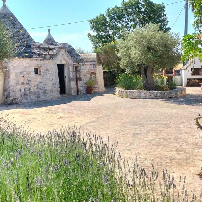 Trullo Raimondo - Casa Vacanze - 23
