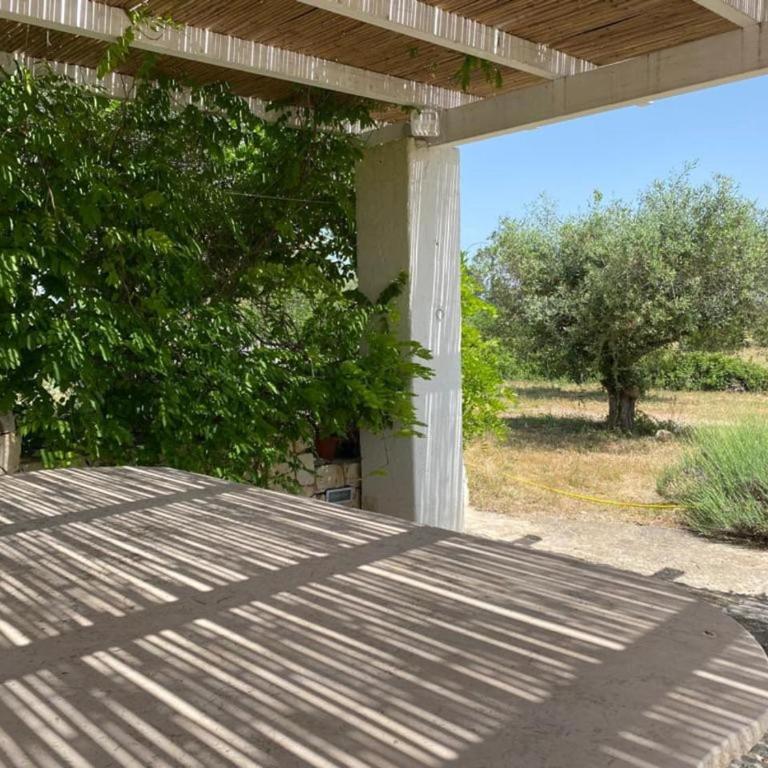 Trullo Raimondo - Casa Vacanze - 6