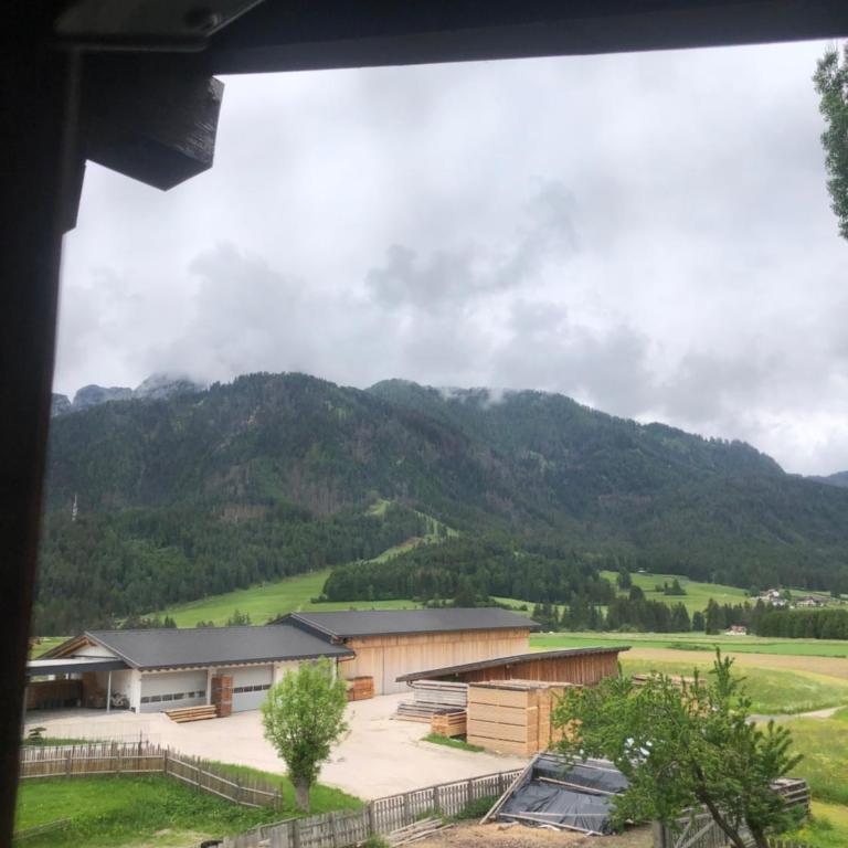 Appartements Rienzner - Appartamento con 1 Camera da Letto (2 Adulti + 2 Bambini) - 1