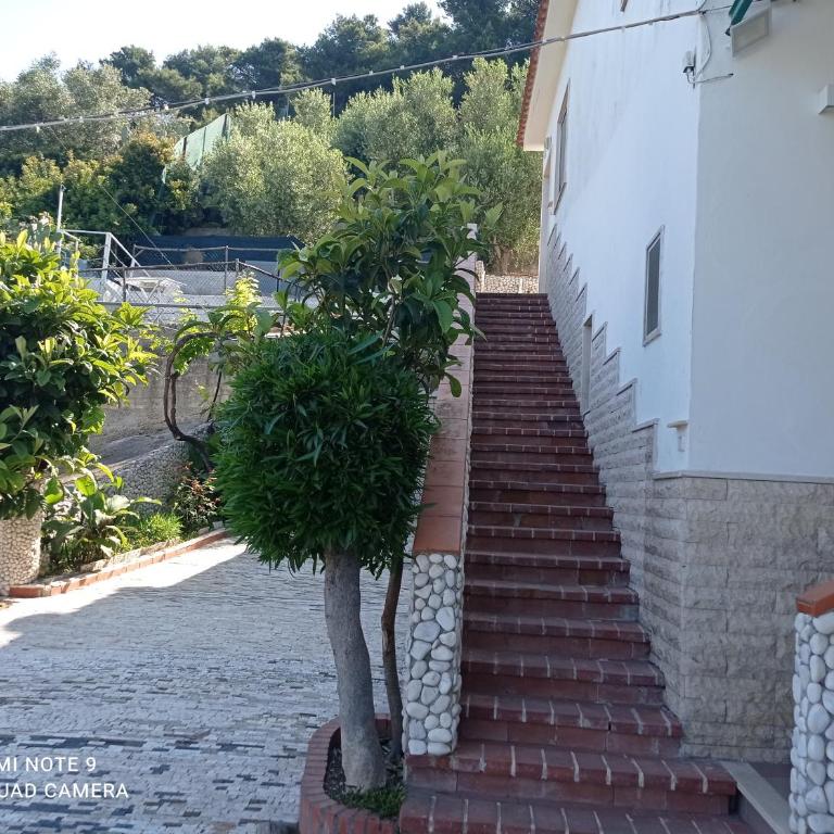 casa dei limoni - Appartamento con 2 Camere da Letto - 30
