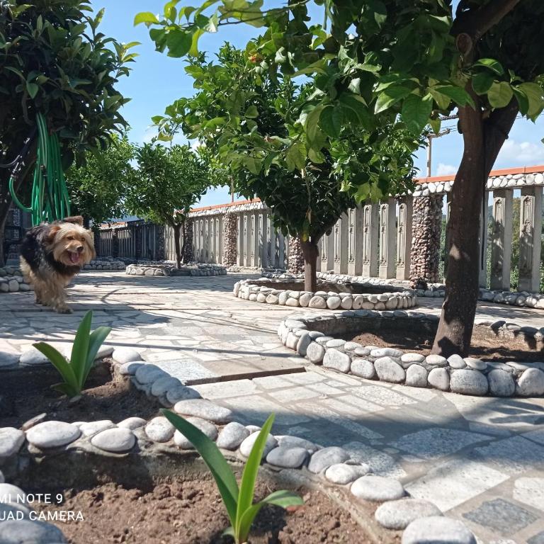 casa dei limoni - Appartamento con 2 Camere da Letto - 31