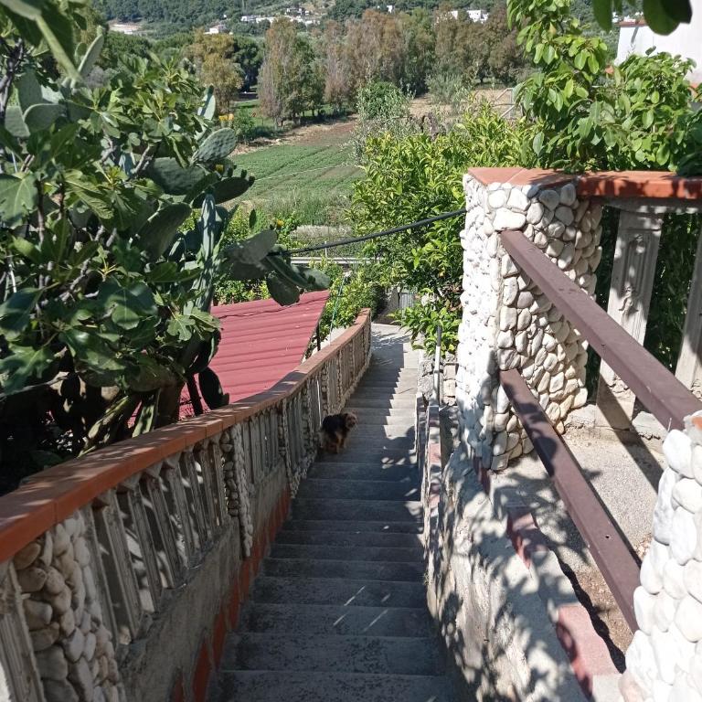 casa dei limoni - Appartamento con 2 Camere da Letto - 40